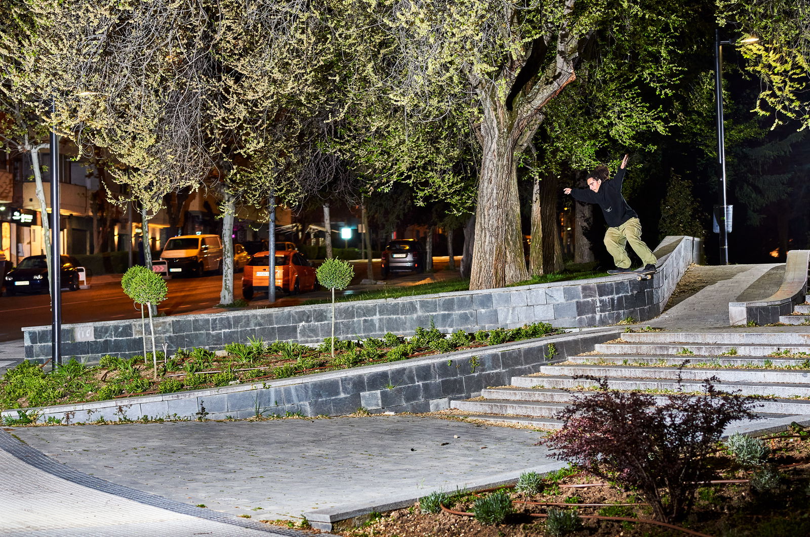 Rogério Venâncio - The beauty of reproducing simplicity