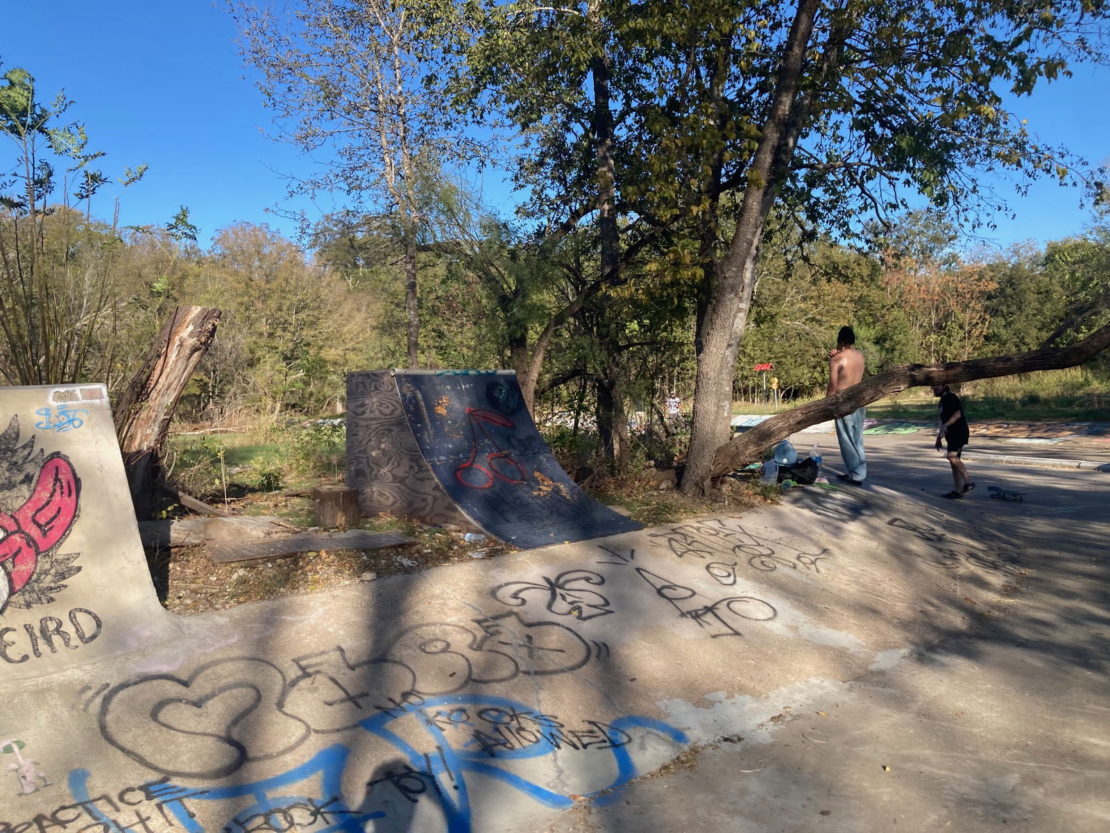 Liarzard skate Ditch 