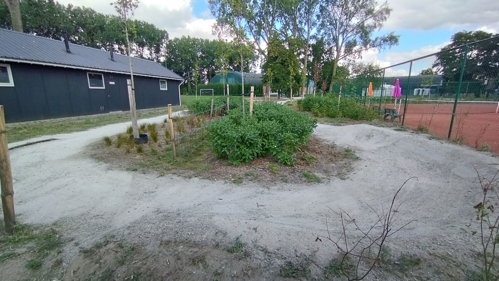 Deinze skills Dirt track