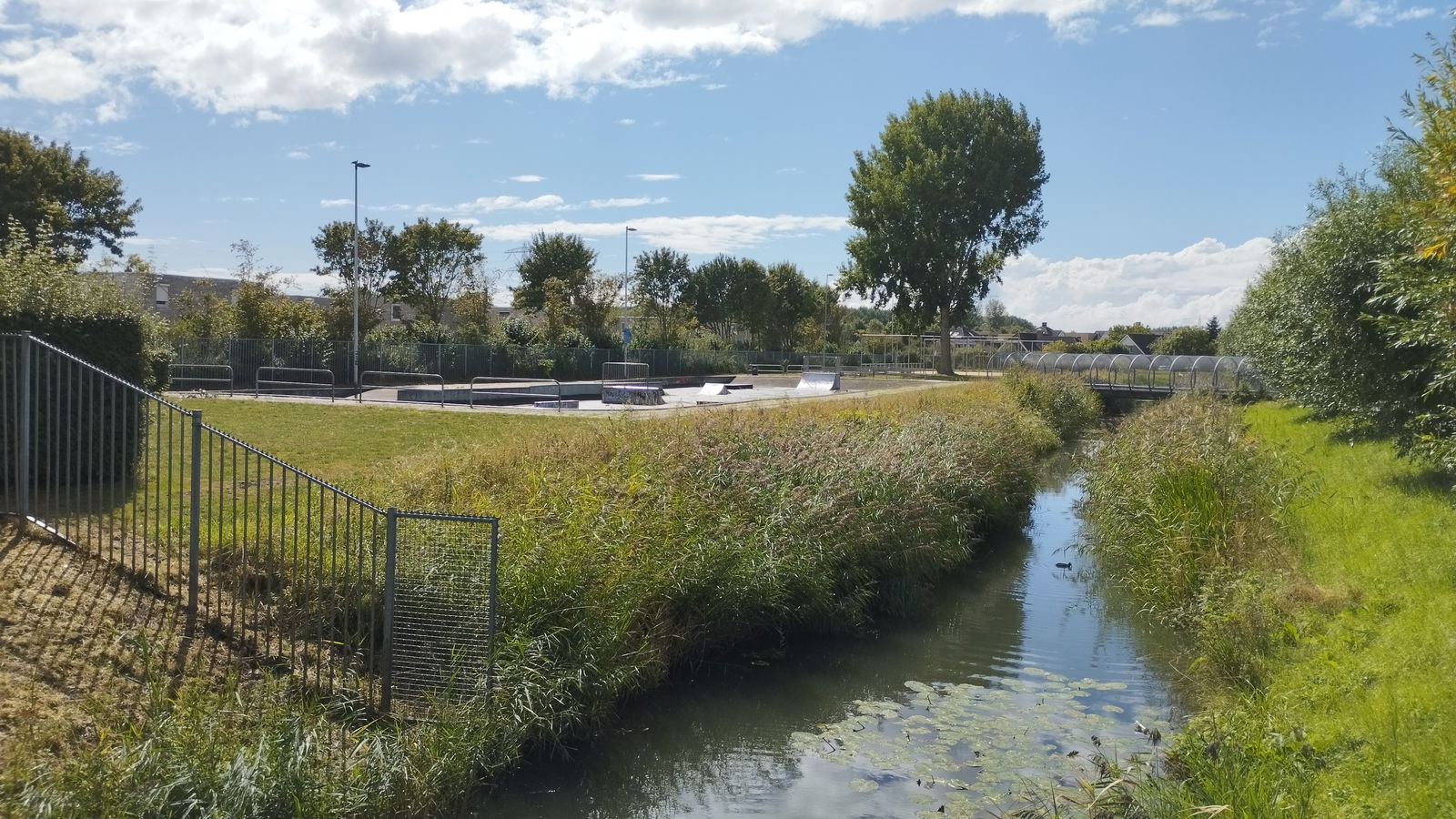 Gossinklaan skatepark