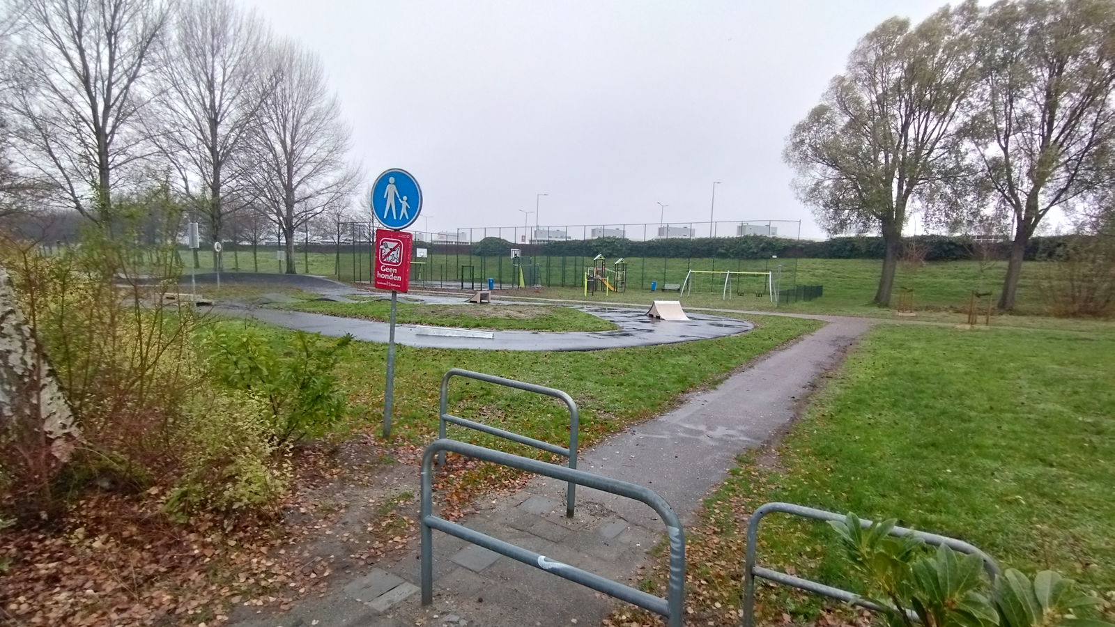 Brahmsstraat skatepark