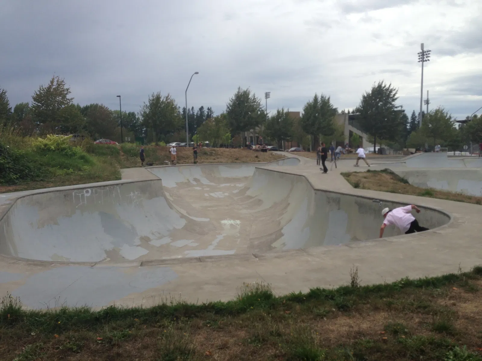 Bellingham skatepark