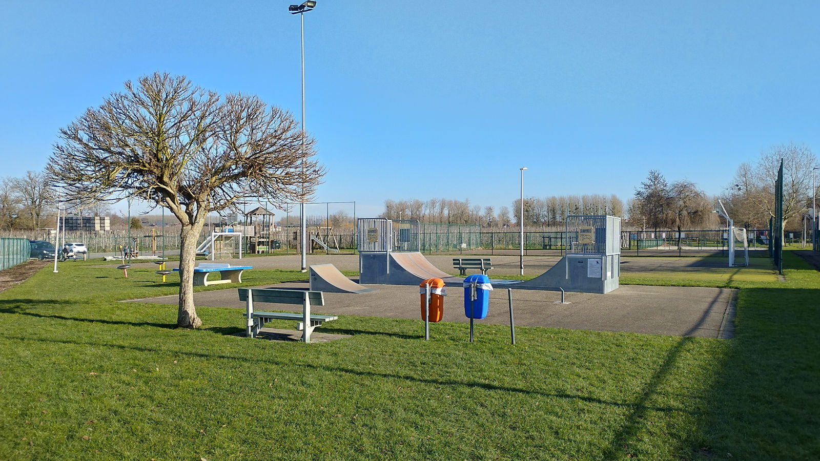 Wellen Skatepark