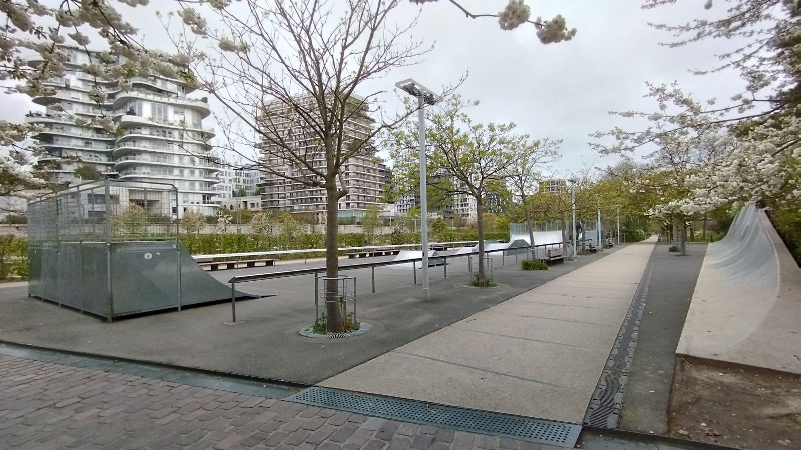 Martin Luther King skatepark