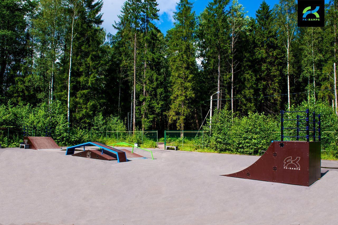 Sertolovo skatepark