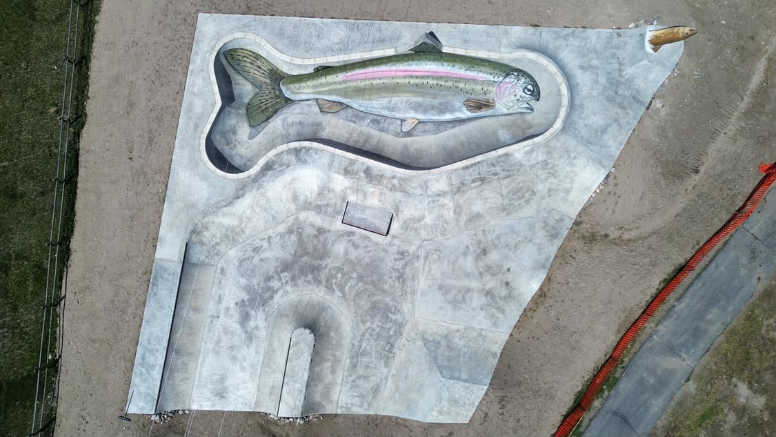 Ennis skatepark