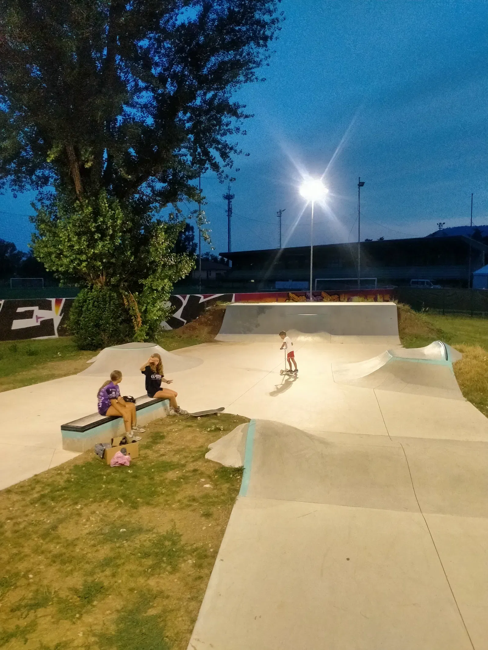 Corte Franca skatepark