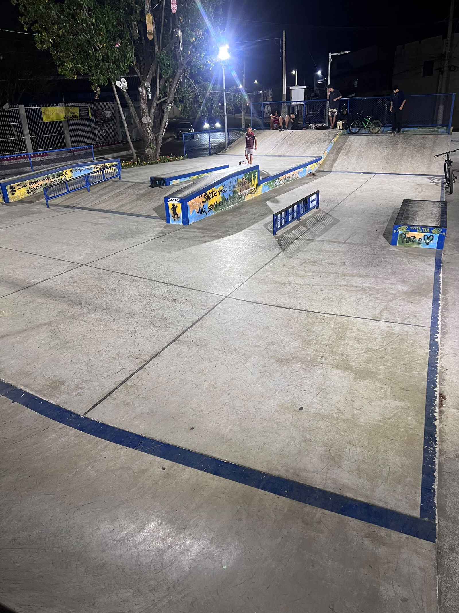 Hugo Viola Skatepark
