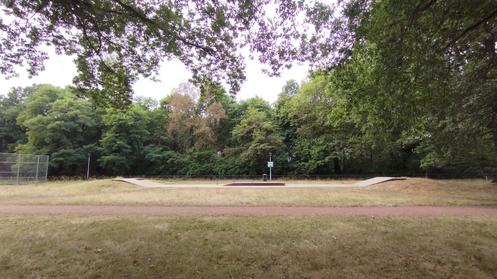 Zorgvlied skatepark