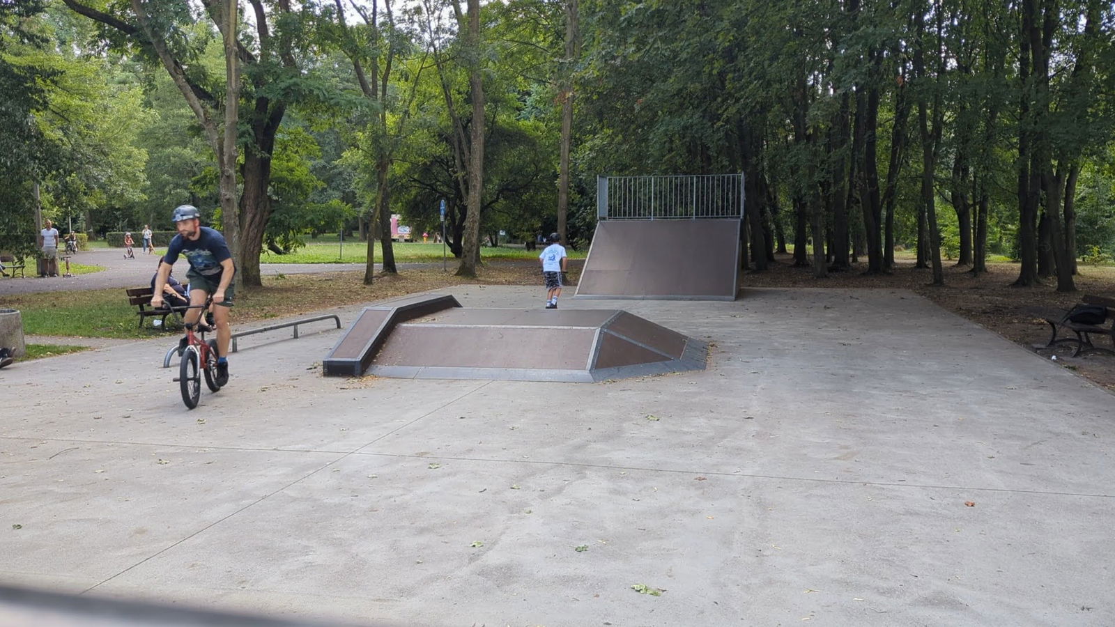 Rogoźnik skatepark