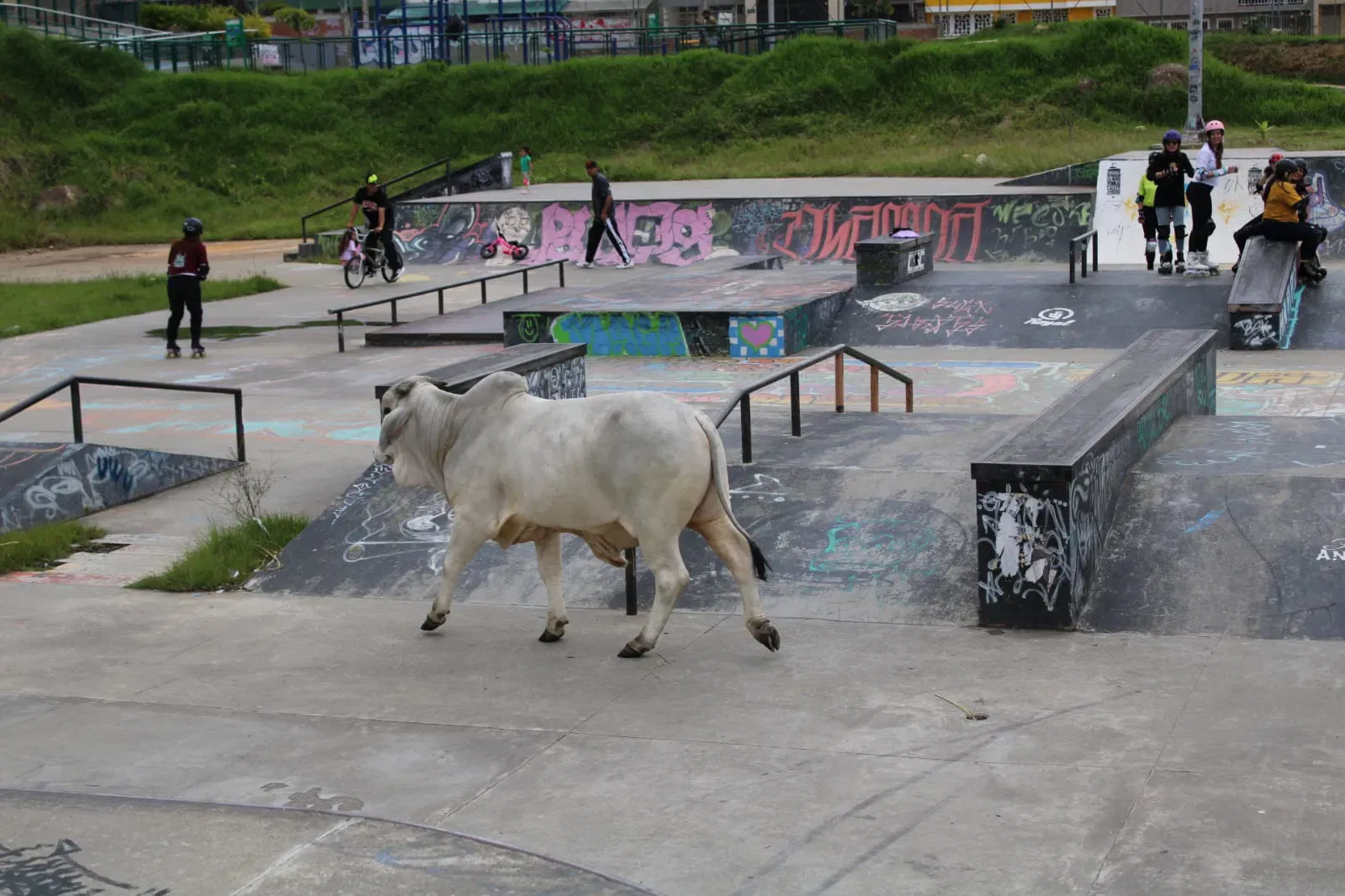 Fusa Skatepark